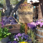 Knott's Berry Farm