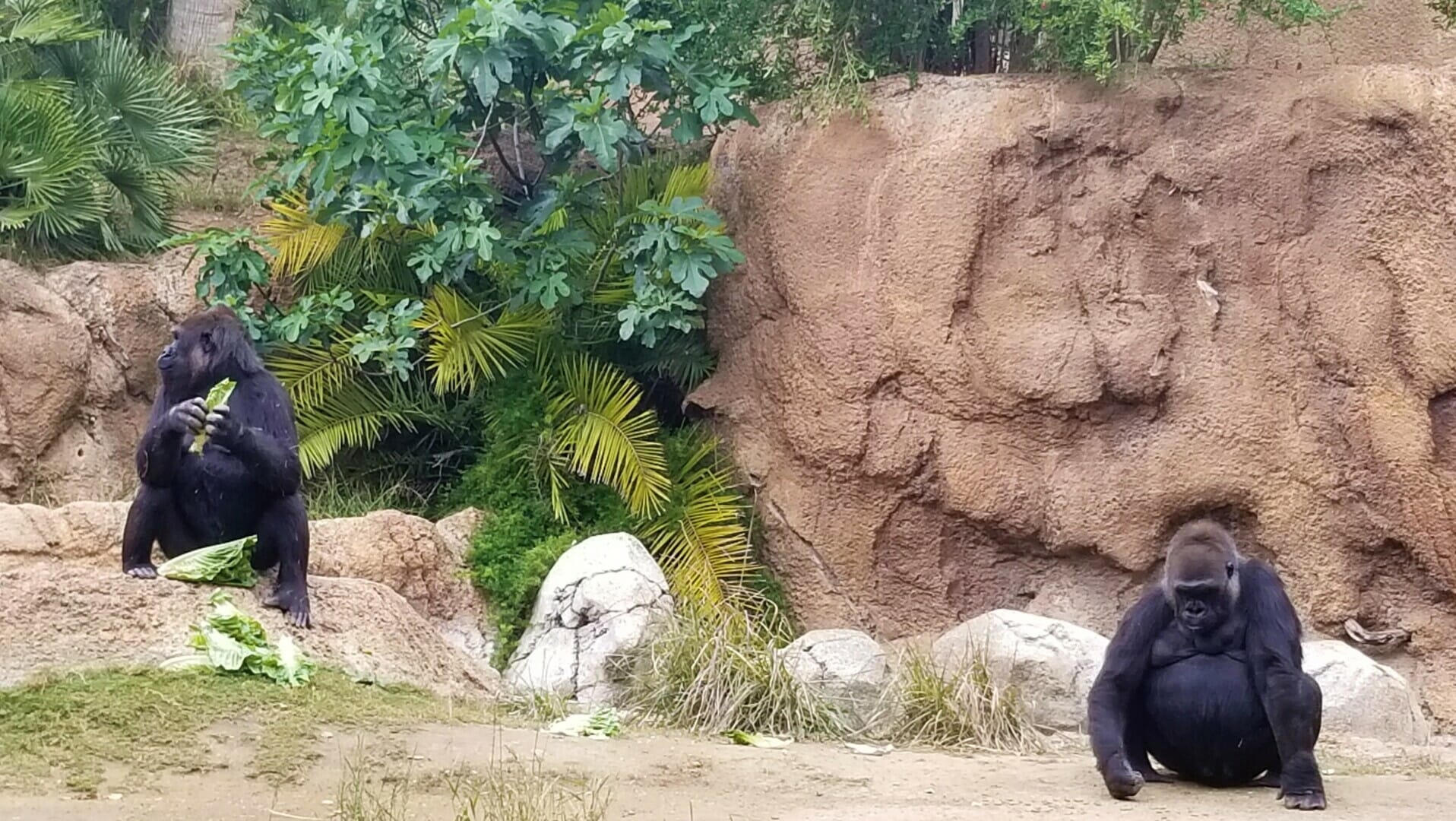 Los Angeles Zoo