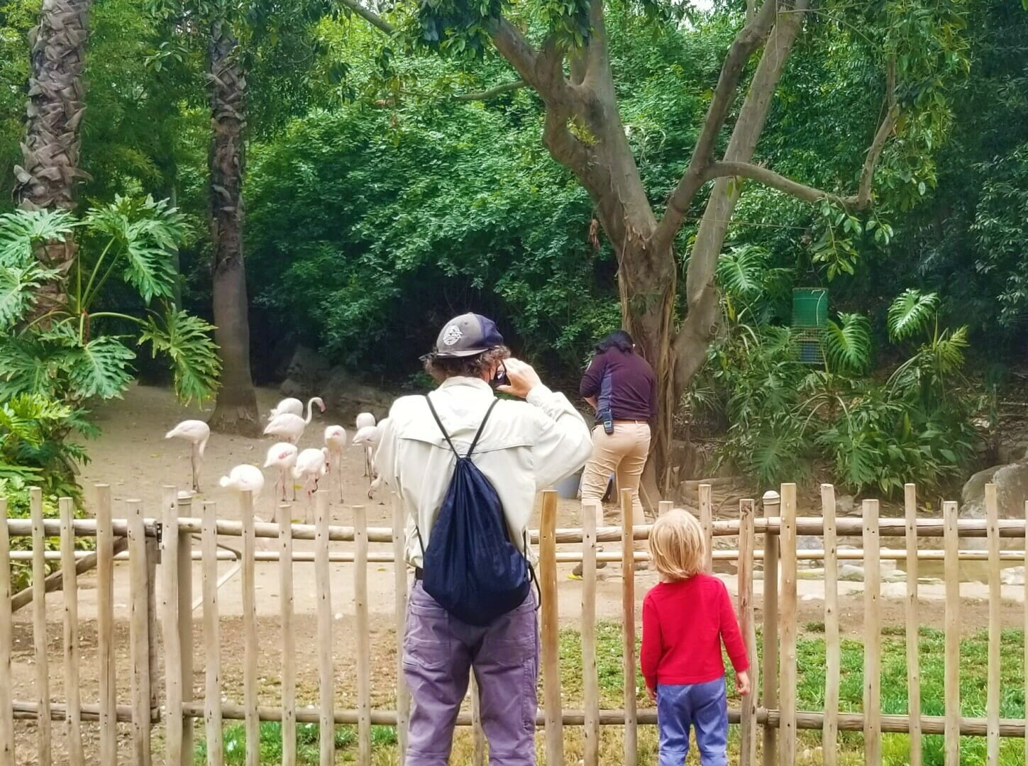 Los Angeles Zoo