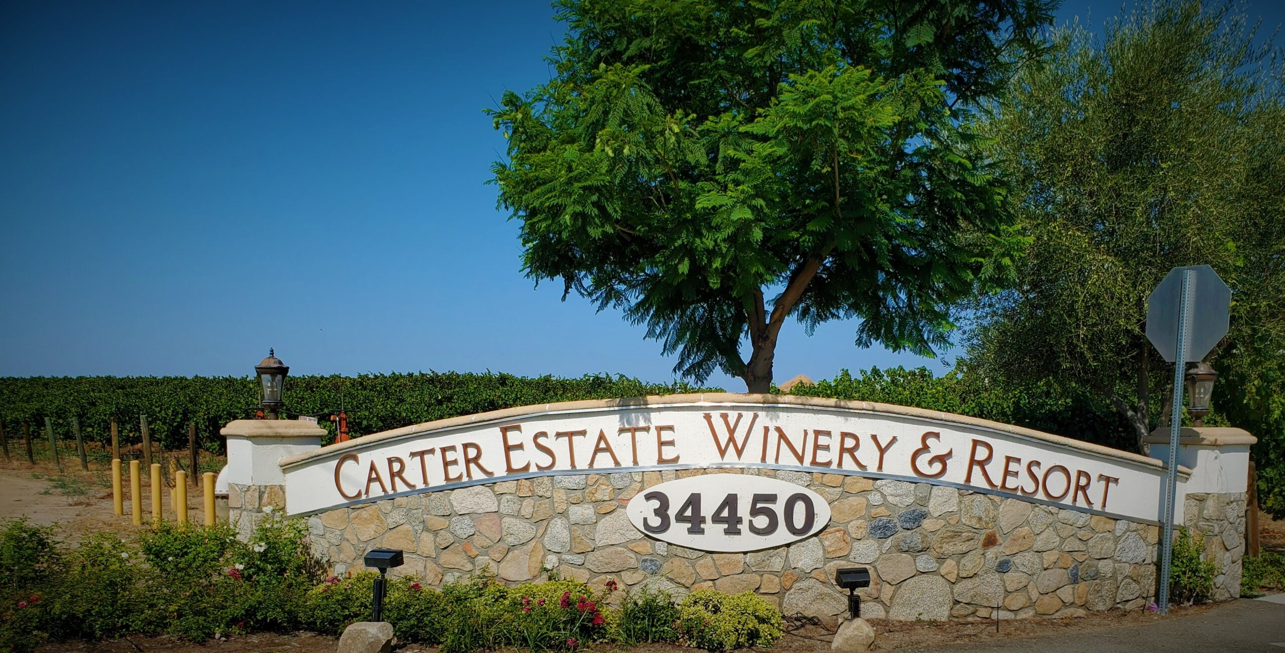 Carter winery outlet