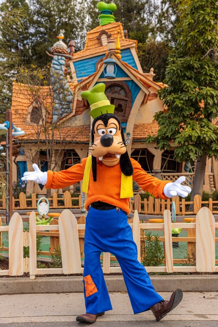 Toontown