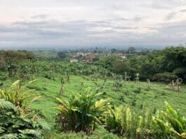 Colombia