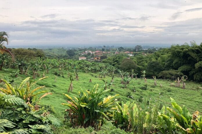 Colombia