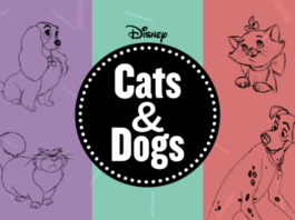 Walt Disney Family Museum