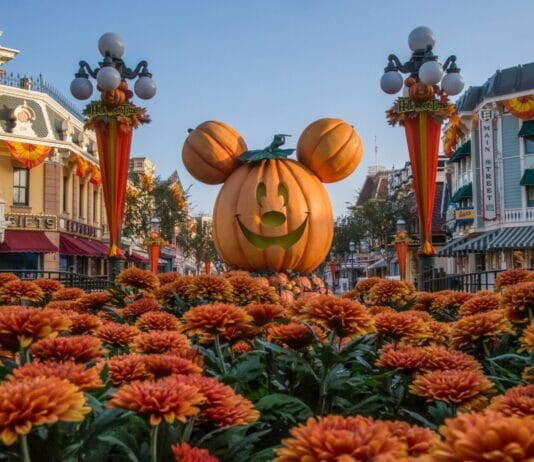 Disneyland Resort