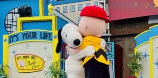 Peanuts Celebration Charlie and Snoopy