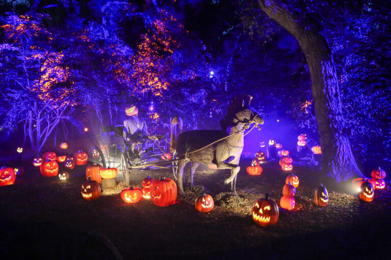 Descanso Gardens announces the return of Carved