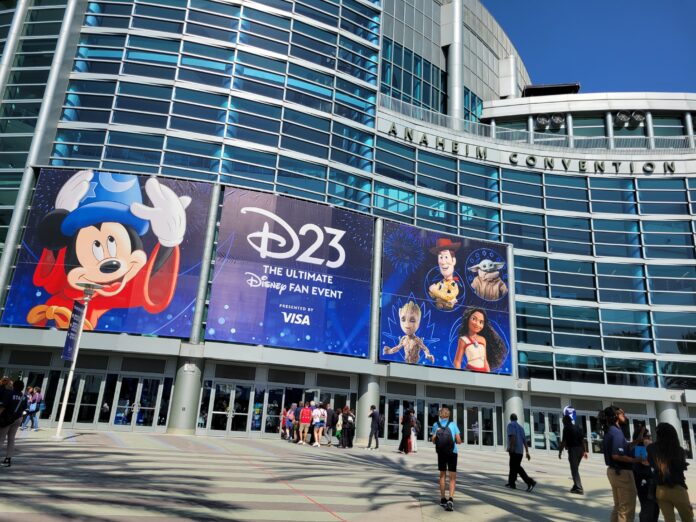 D23