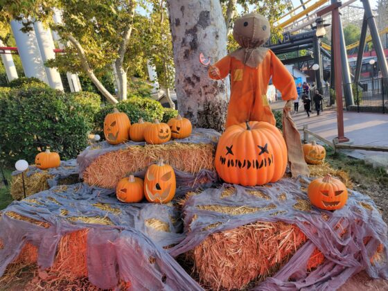 Six Flags Fright Fest