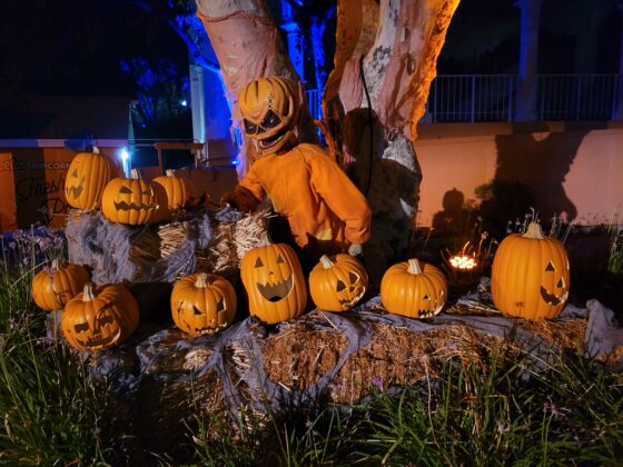 Six Flags Fright Fest