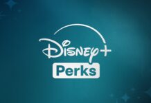 Disney Perks