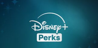 Disney Perks