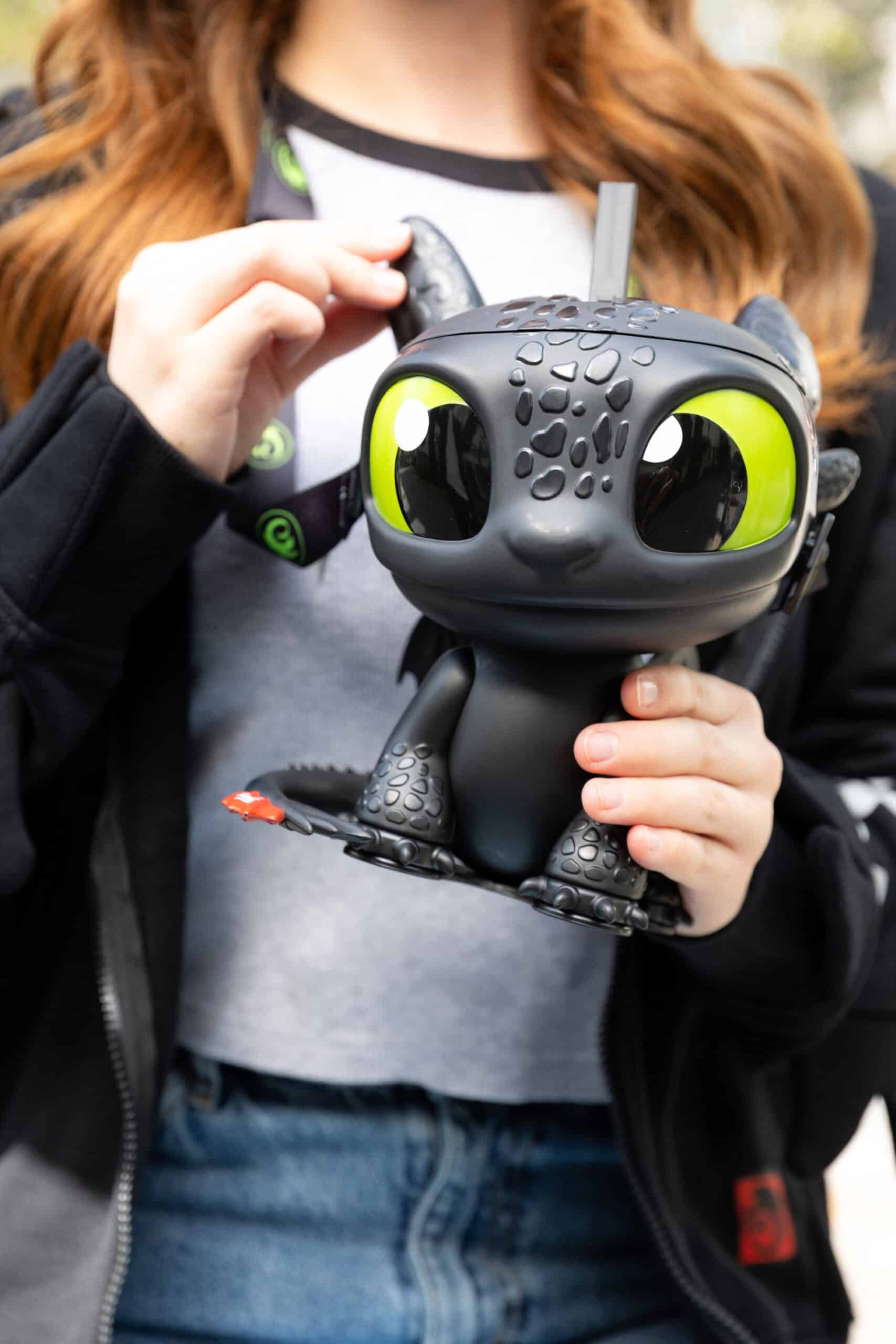 How to Train Your Dragon Merch () MMS at USH