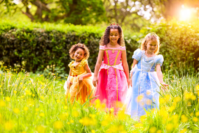 Disney Store Princess Roleplay Toys