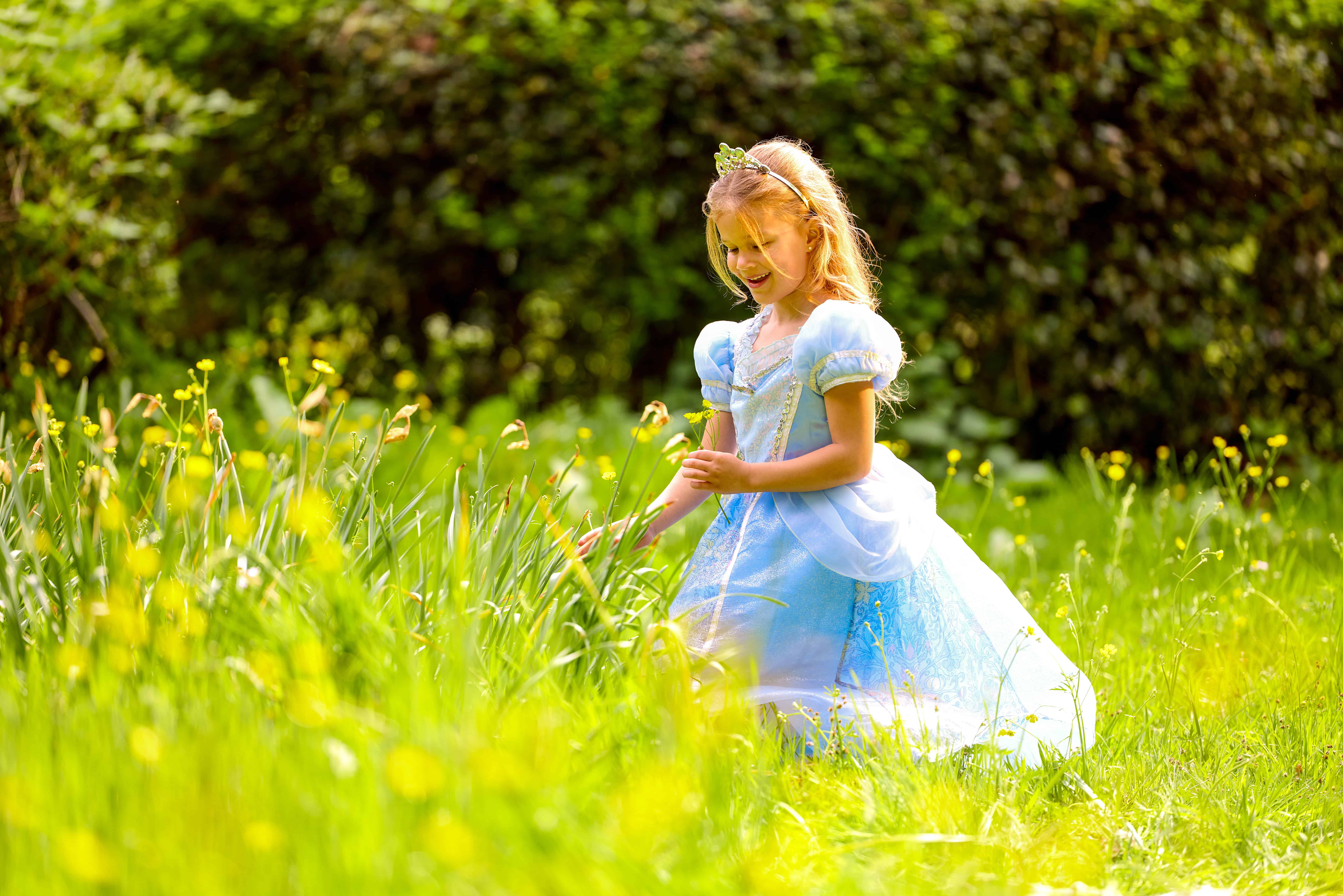 Disney Store Princess Roleplay Cinderella