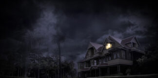 Winchester