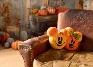 Disney Store