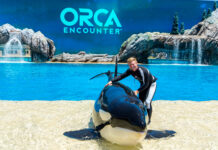 SeaWorld