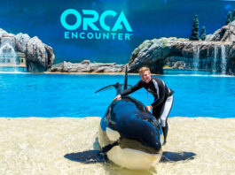 SeaWorld