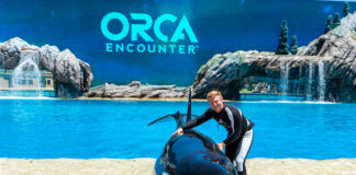 SeaWorld