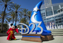 D23