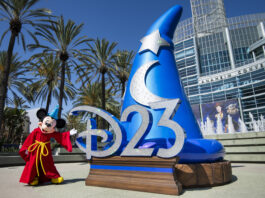 D23