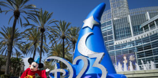 D23