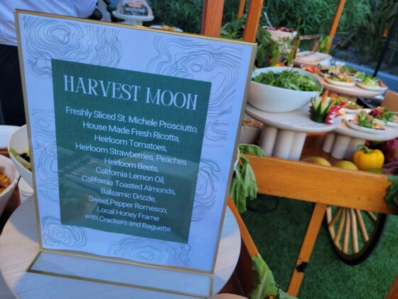 Fresh Look: Hilton Anaheim Unveils Full-Property Renovation Hilton