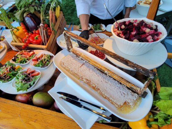 Fresh Look: Hilton Anaheim Unveils Full-Property Renovation Hilton