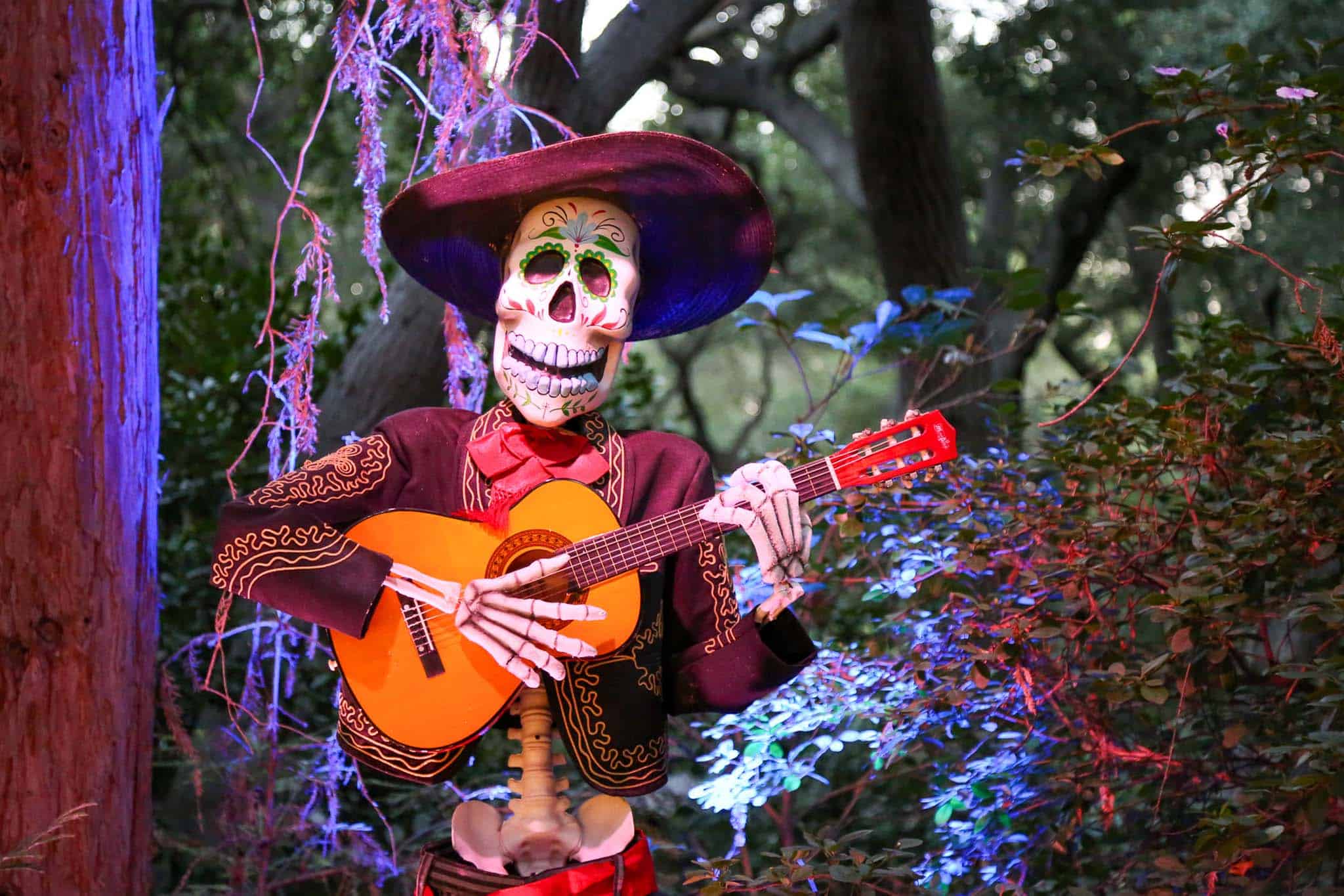 Close up of the Dia de los Muertos ofrenda at Carved © Descanso Gardens