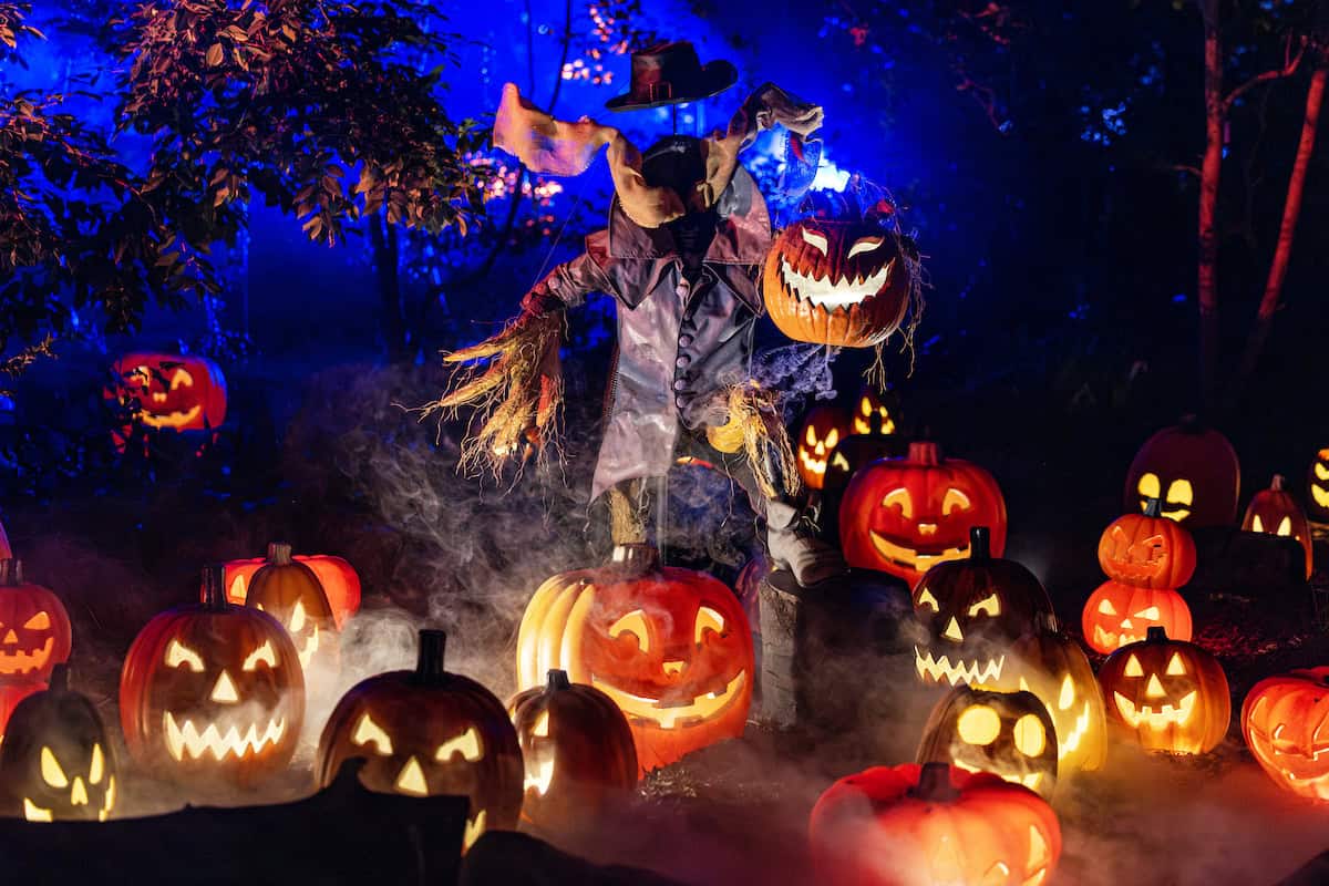 Ghoulish installations celebrate the Halloween season at Carved © Kathryn Rapier