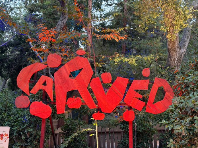 Carved