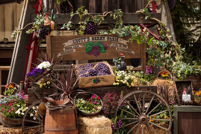 Boysenberry Festival Decorations