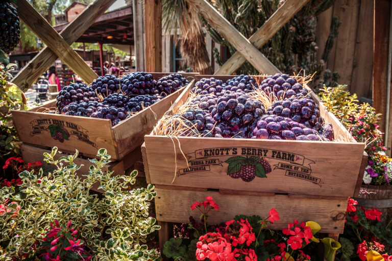 Knott’s Boysenberry Festival Returns and Introduces a New Lineup of Tasty Foods