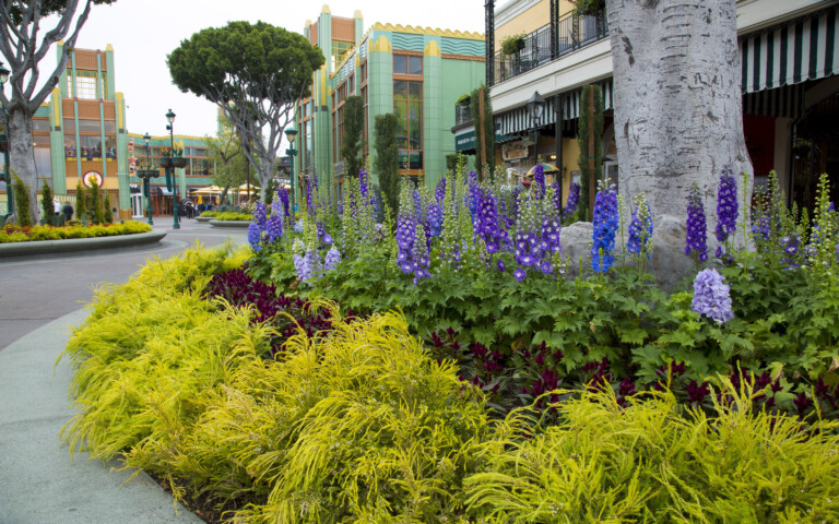 Downtown Disney Celebrates Orange County Restaurant Week