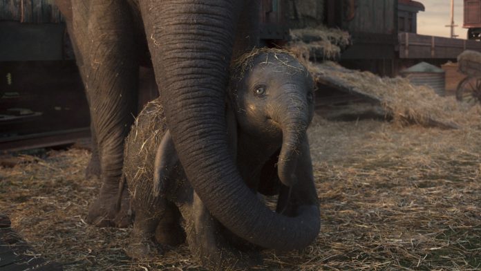 DUMBO