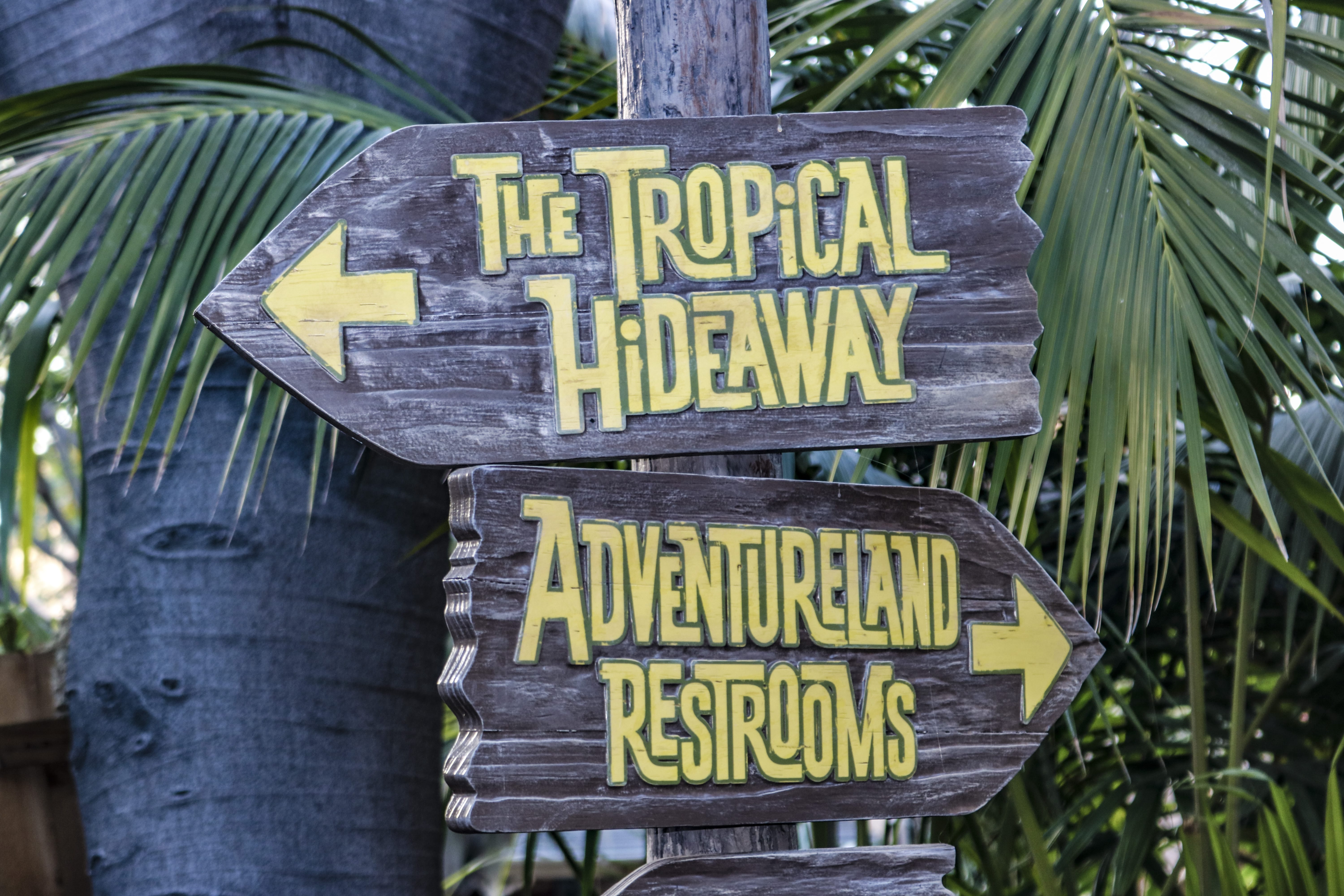 Tropical Hideaway