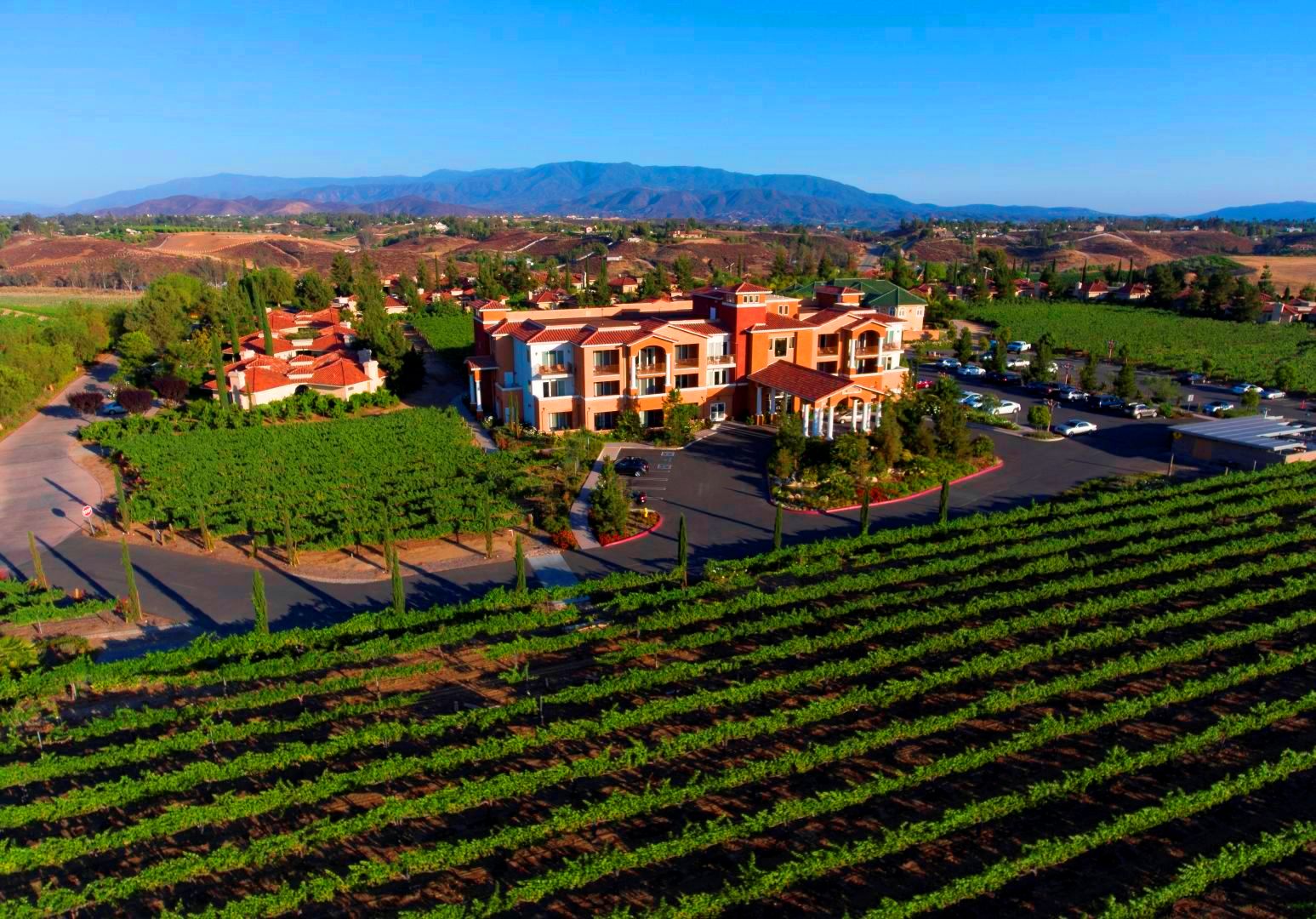 The Vineyard Rose at South Coast Winery Restaurant - Temecula, CA