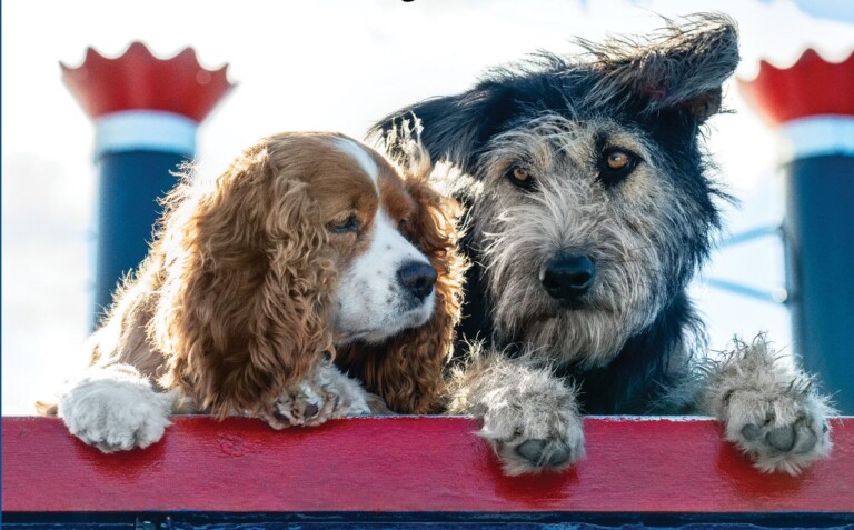 D23 Teases First Look at Disney+ Lady and the Tramp Film