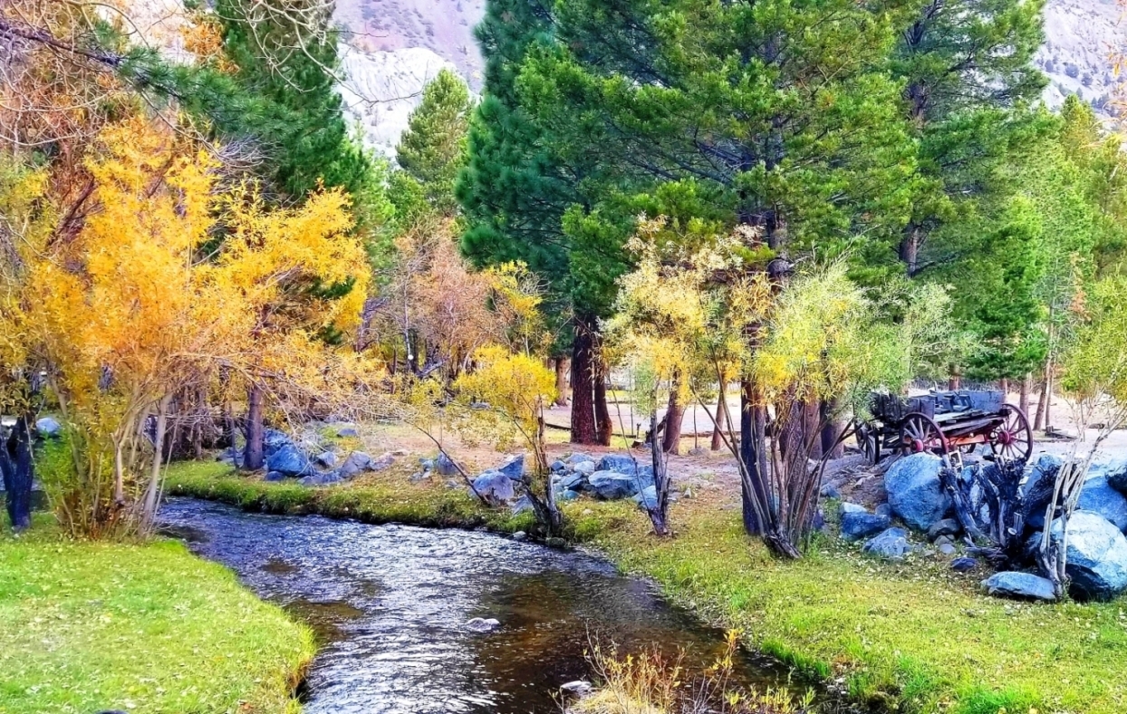 June Lake