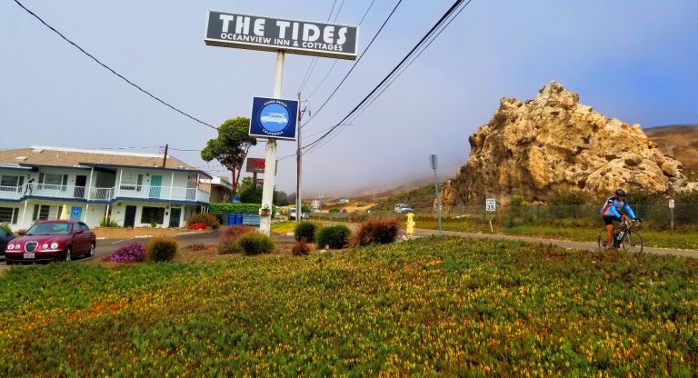 Ocean View Rooms, Butterflies and a Clam Festival